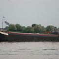 DSC00599