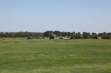 IMG 4789